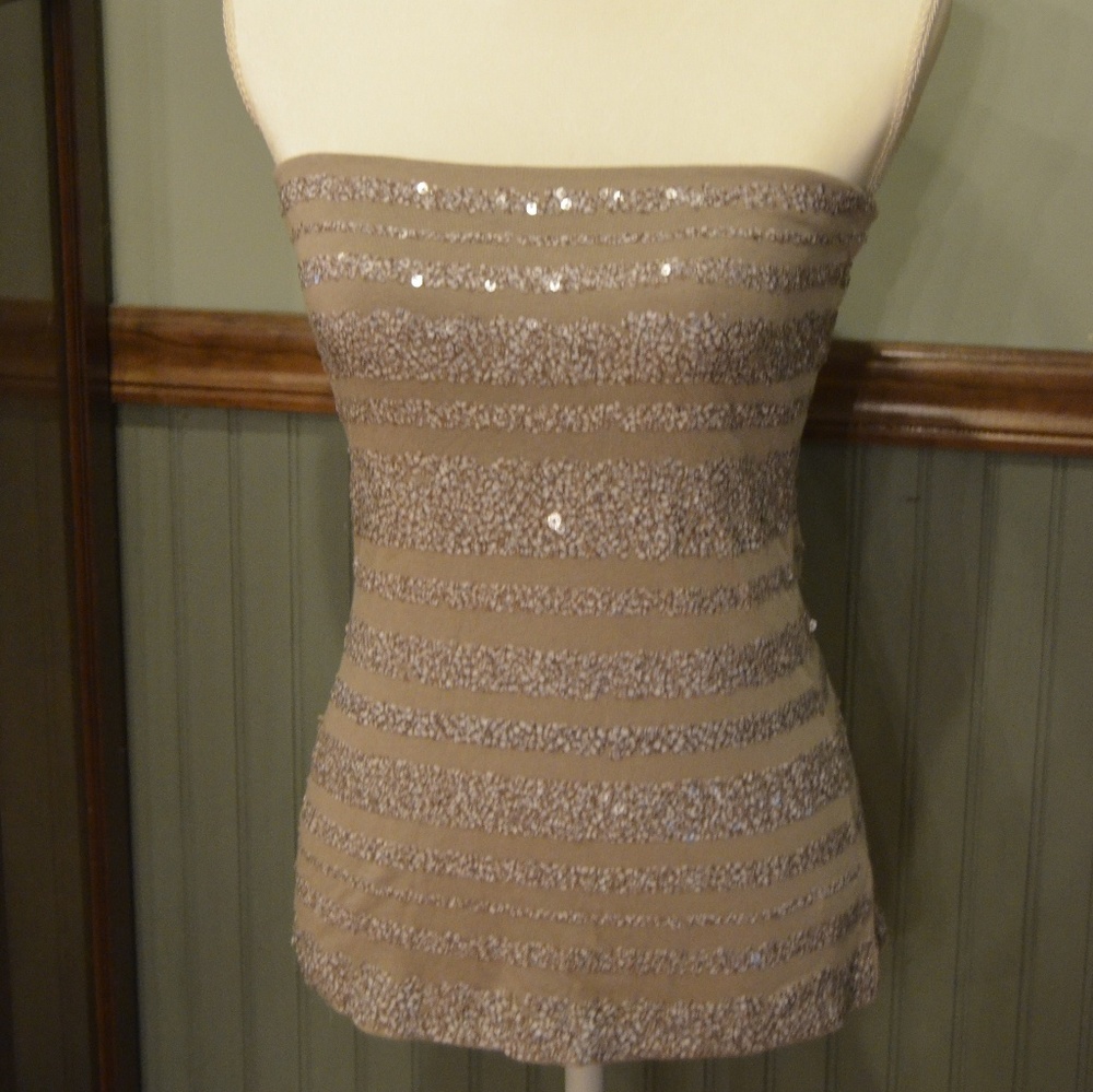 Express sequin tube top